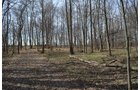 Property photo 125 - REAL ESTATE & PERSONAL PROPERTY AUCTION, 140 Acres offered in 8 Tracts or Combinations in Steuben County